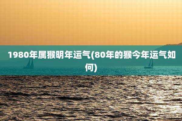 1980年属猴明年运气(80年的猴今年运气如何)