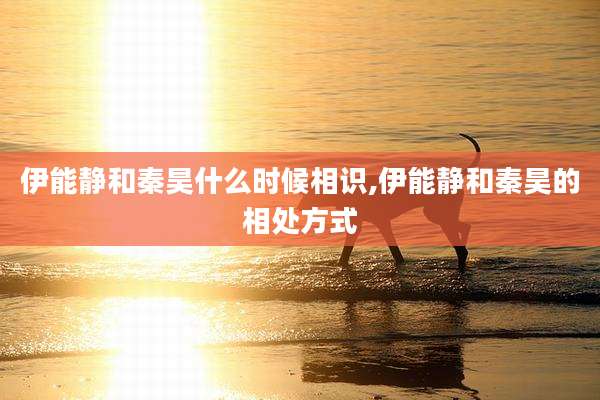 伊能静和秦昊什么时候相识,伊能静和秦昊的相处方式