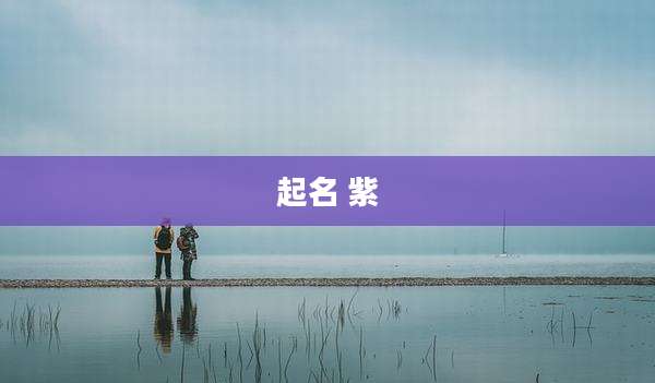 起名 紫