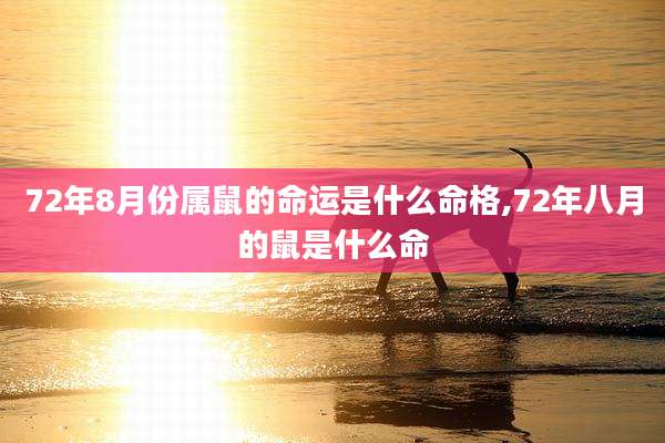 72年8月份属鼠的命运是什么命格,72年八月的鼠是什么命
