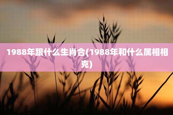 1988年跟什么生肖合(1988年和什么属相相克)