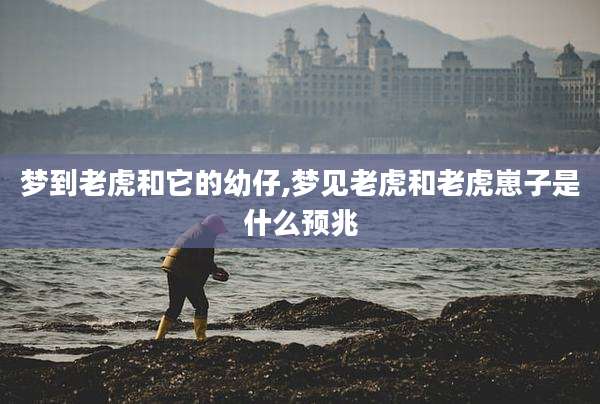 梦到老虎和它的幼仔,梦见老虎和老虎崽子是什么预兆
