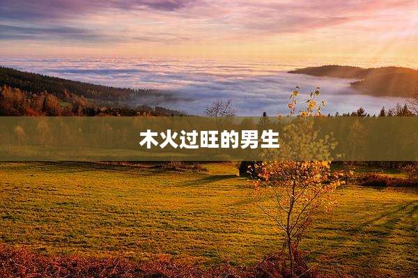 木火过旺的男生