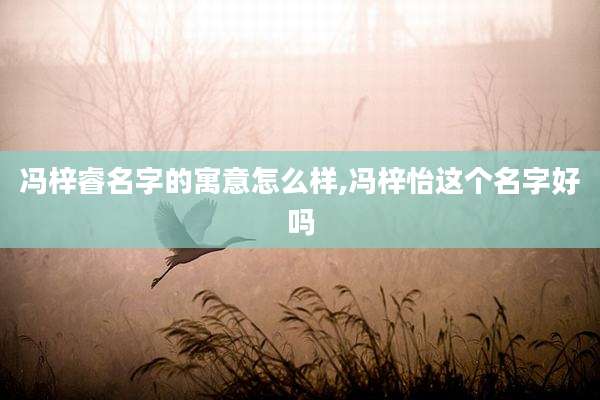 冯梓睿名字的寓意怎么样,冯梓怡这个名字好吗