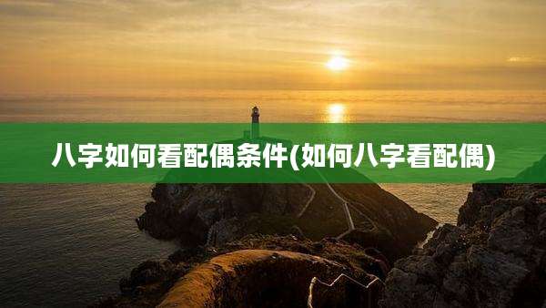 八字如何看配偶条件(如何八字看配偶)