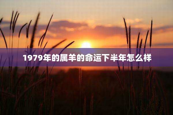 1979年的属羊的命运下半年怎么样
