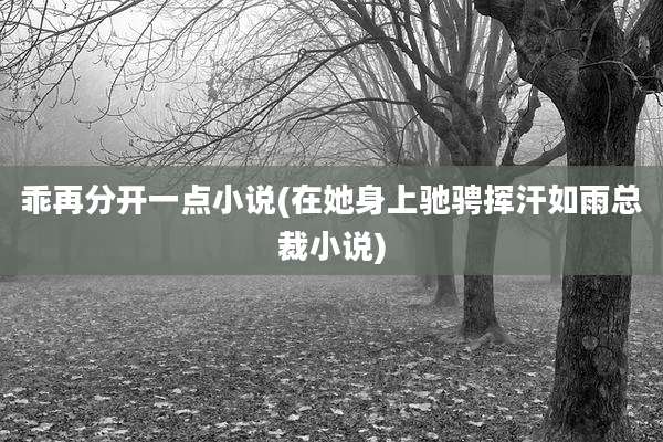 乖再分开一点小说(在她身上驰骋挥汗如雨总裁小说)
