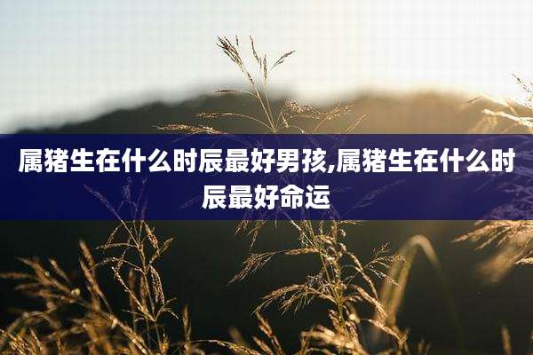 属猪生在什么时辰最好男孩,属猪生在什么时辰最好命运
