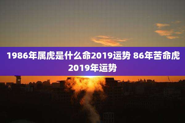 1986年属虎是什么命2019运势 86年苦命虎2019年运势