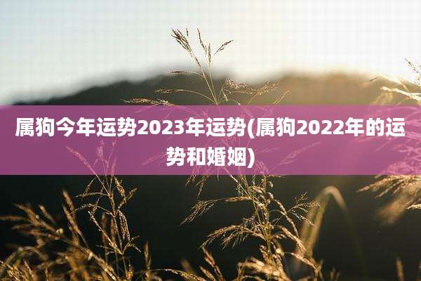 属狗今年运势2023年运势(属狗2022年的运势和婚姻)