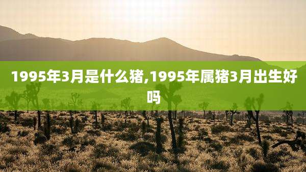 1995年3月是什么猪,1995年属猪3月出生好吗