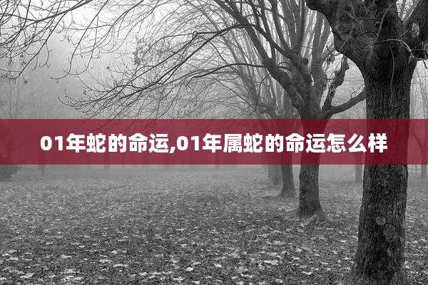 01年蛇的命运,01年属蛇的命运怎么样