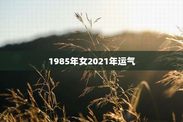 1985年女2021年运气