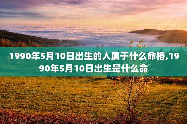 1990年5月10日出生的人属于什么命格,1990年5月10日出生是什么命