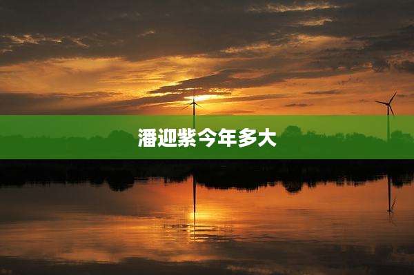 潘迎紫今年多大
