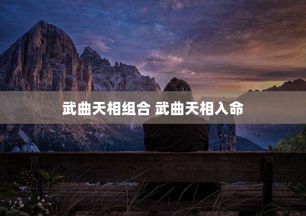 武曲天相组合 武曲天相入命