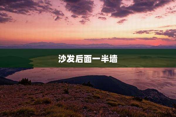 沙发后面一半墙