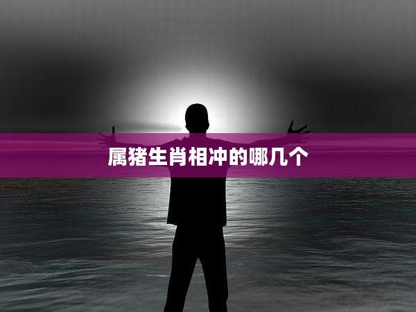 属猪生肖相冲的哪几个