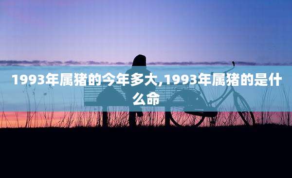 1993年属猪的今年多大,1993年属猪的是什么命
