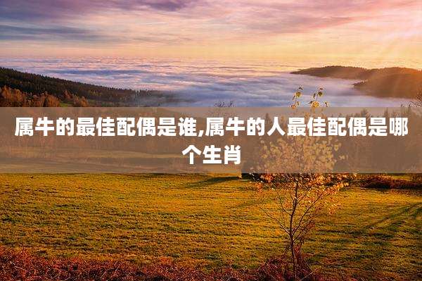 属牛的最佳配偶是谁,属牛的人最佳配偶是哪个生肖