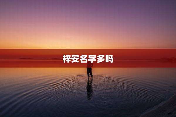 梓安名字多吗