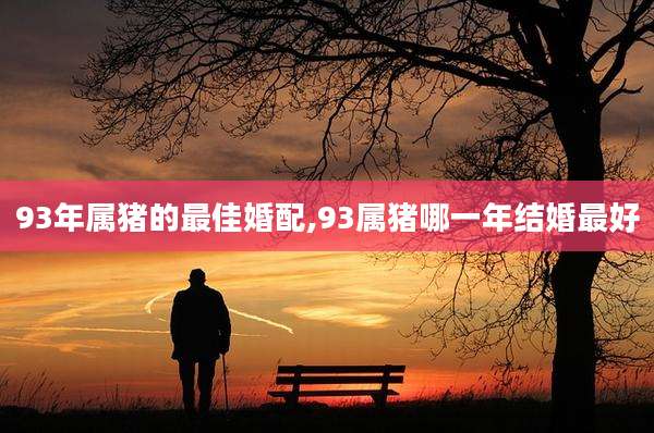 93年属猪的最佳婚配,93属猪哪一年结婚最好