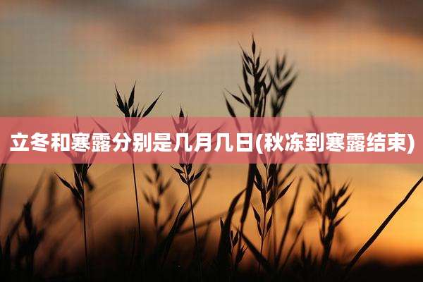 立冬和寒露分别是几月几日(秋冻到寒露结束)