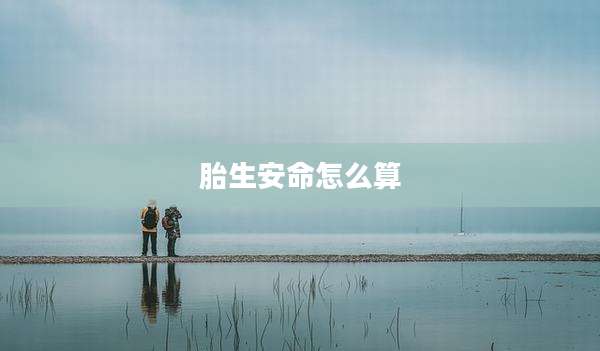胎生安命怎么算