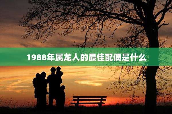 1988年属龙人的最佳配偶是什么