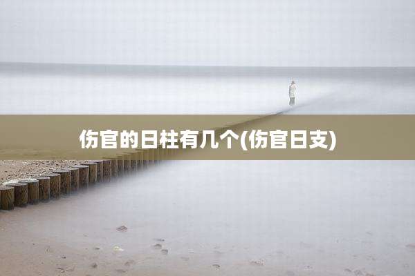 伤官的日柱有几个(伤官日支)