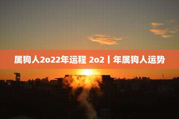 属狗人2o22年运程 2o2丨年属狗人运势