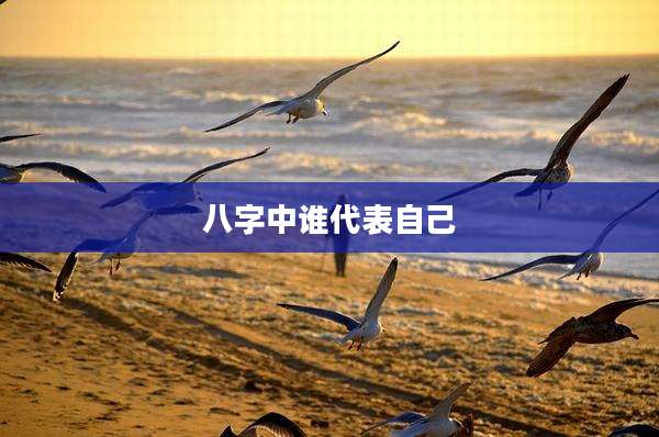 八字中谁代表自己