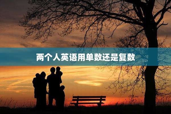 两个人英语用单数还是复数