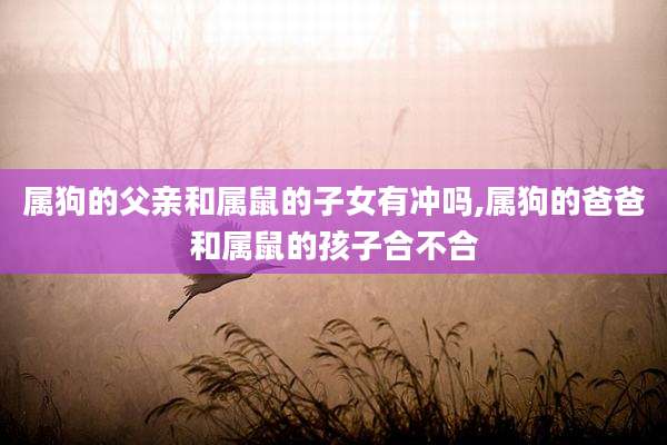 属狗的父亲和属鼠的子女有冲吗,属狗的爸爸和属鼠的孩子合不合