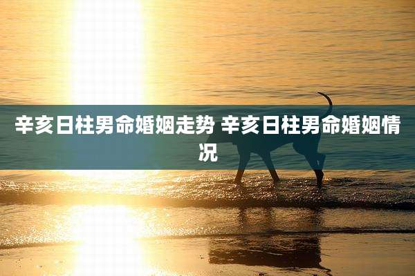 辛亥日柱男命婚姻走势 辛亥日柱男命婚姻情况