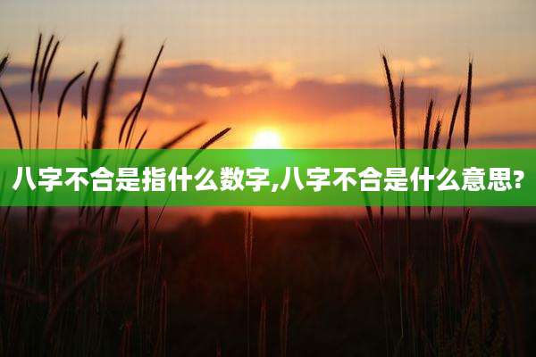八字不合是指什么数字,八字不合是什么意思?