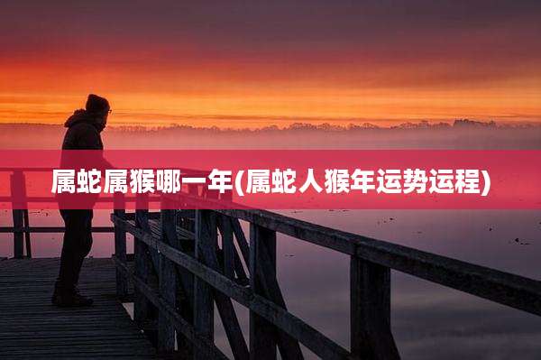 属蛇属猴哪一年(属蛇人猴年运势运程)