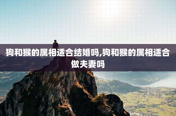 狗和猴的属相适合结婚吗,狗和猴的属相适合做夫妻吗