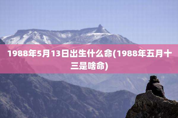 1988年5月13日出生什么命(1988年五月十三是啥命)