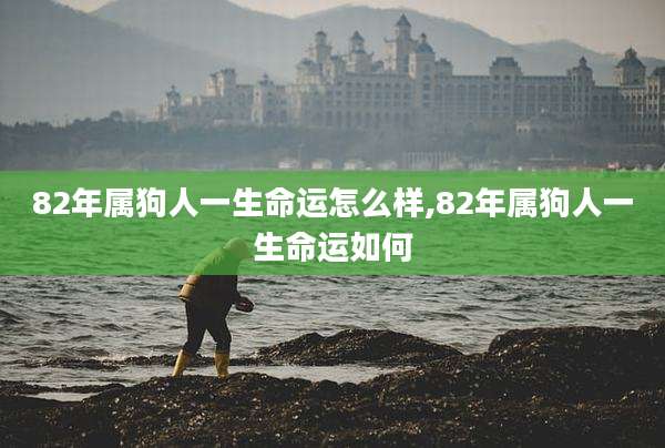 82年属狗人一生命运怎么样,82年属狗人一生命运如何