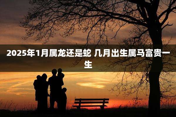 2025年1月属龙还是蛇 几月出生属马富贵一生