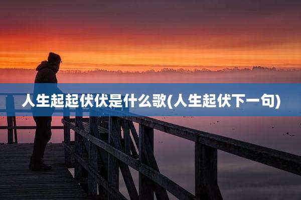 人生起起伏伏是什么歌(人生起伏下一句)