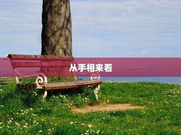 从手相来看
