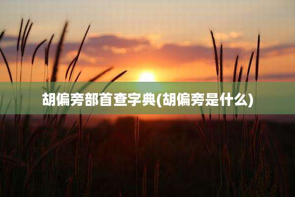 胡偏旁部首查字典(胡偏旁是什么)
