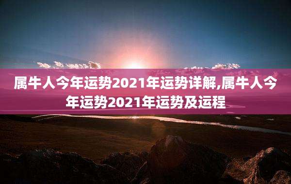 属牛人今年运势2021年运势详解,属牛人今年运势2021年运势及运程