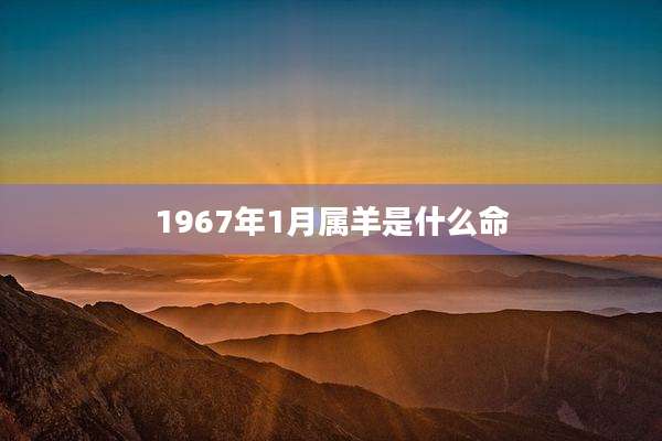 1967年1月属羊是什么命