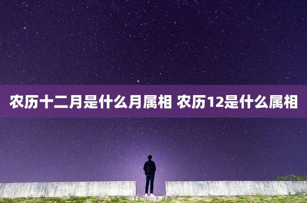 农历十二月是什么月属相 农历12是什么属相