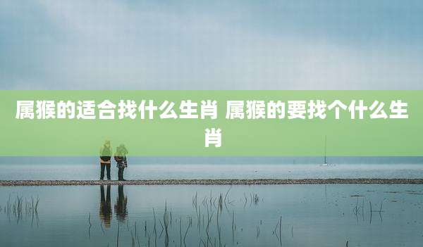 属猴的适合找什么生肖 属猴的要找个什么生肖