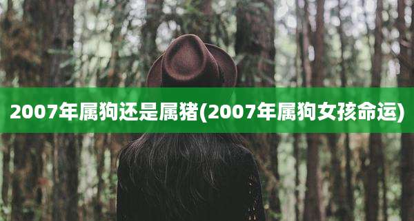 2007年属狗还是属猪(2007年属狗女孩命运)