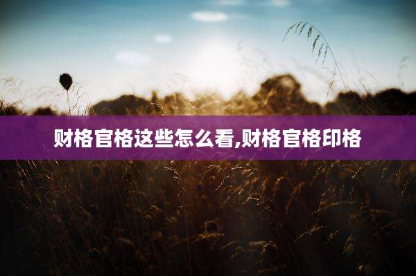 财格官格这些怎么看,财格官格印格